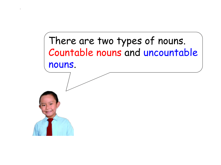 Chapter 2 Countable and uncountable nouns 语法 课件(共28张PPT)