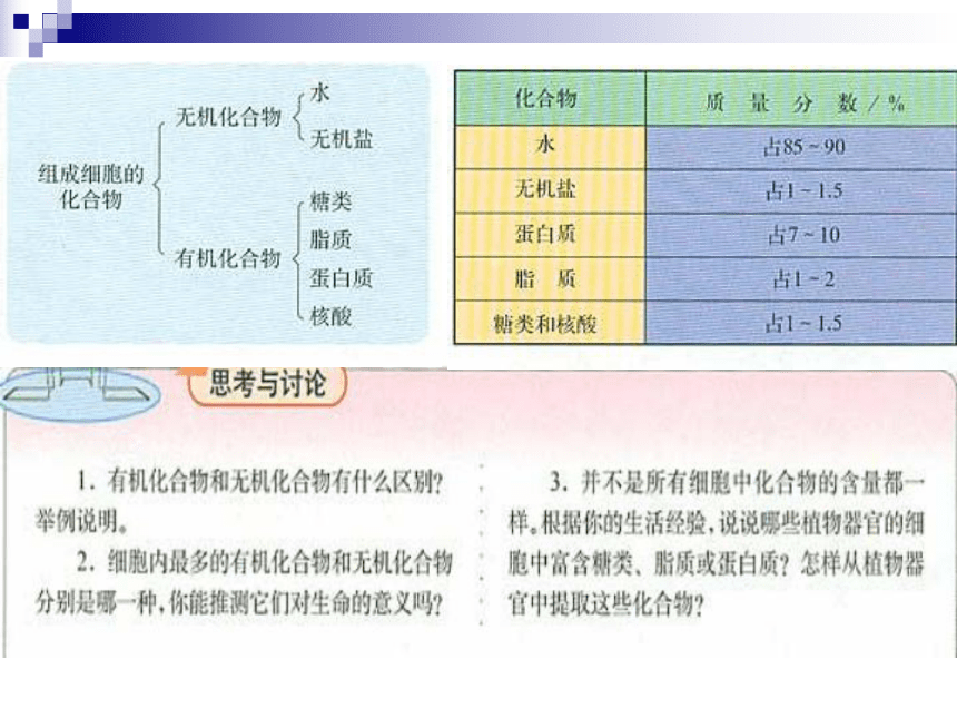 高中生物人教版（2019）必修一2.1 细胞中的元素和化合物 课件 (共25张PPT)