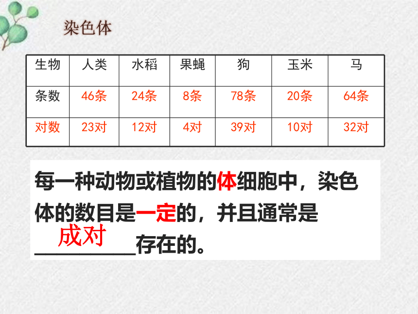 20.2性状遗传的物质基础课件(共23张PPT)