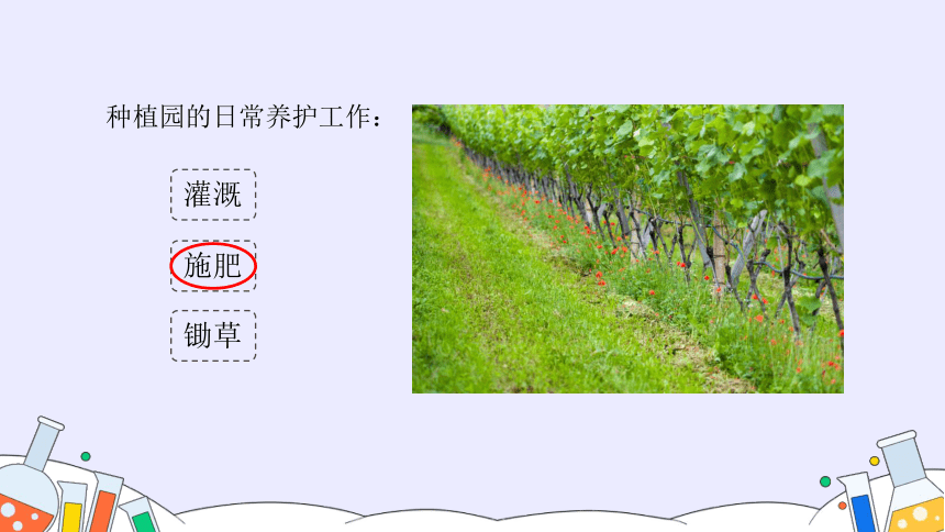 人教版九年级化学下册 11.2 化学肥料（33张PPT）