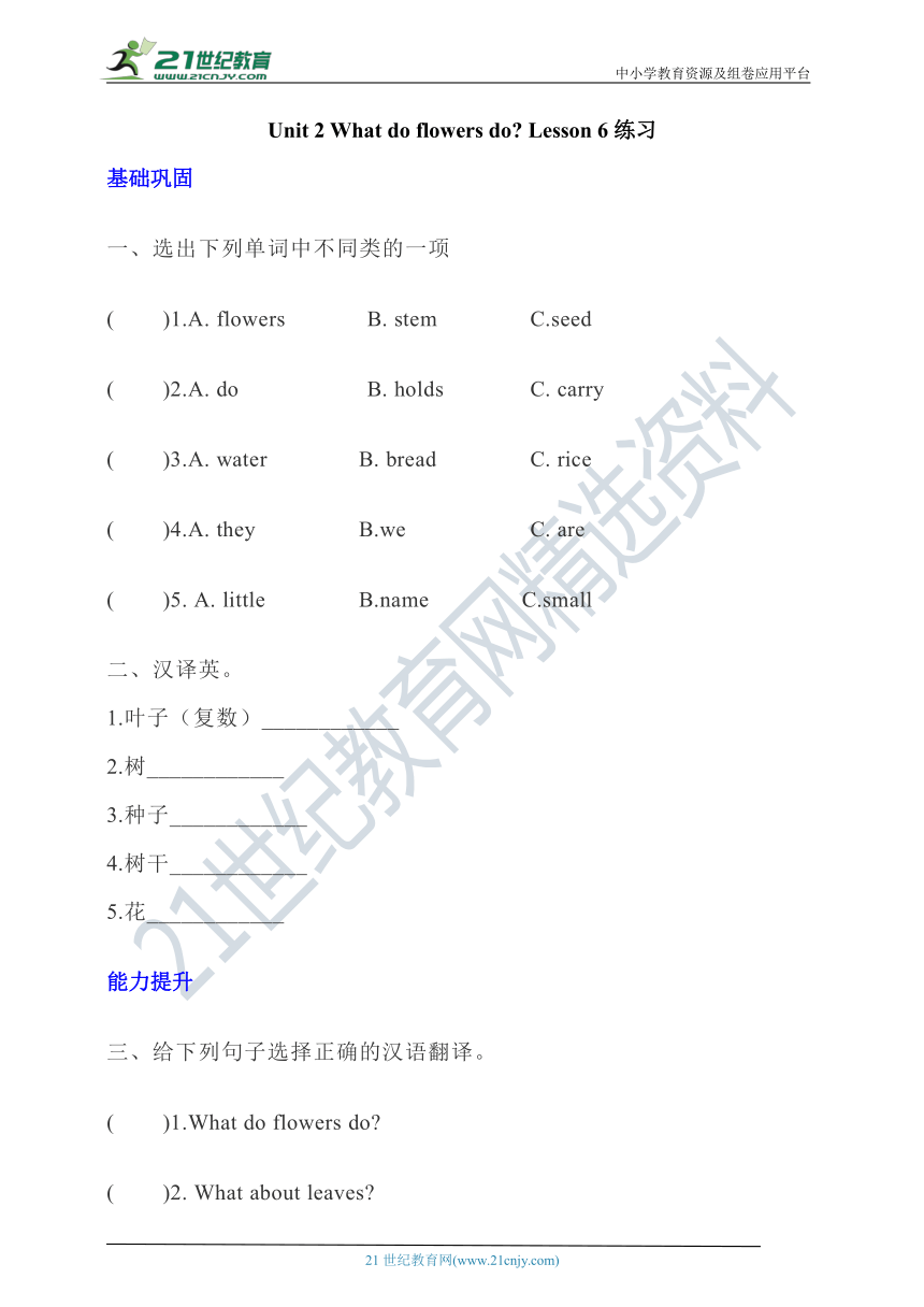 【新课标】 Unit 2 What do flowers do？Lesson 6分层练习