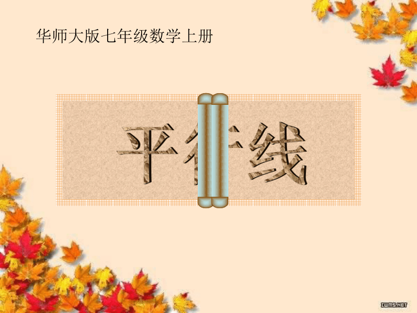 华东师大版七上数学 5.2.1平行线 课件（25张）