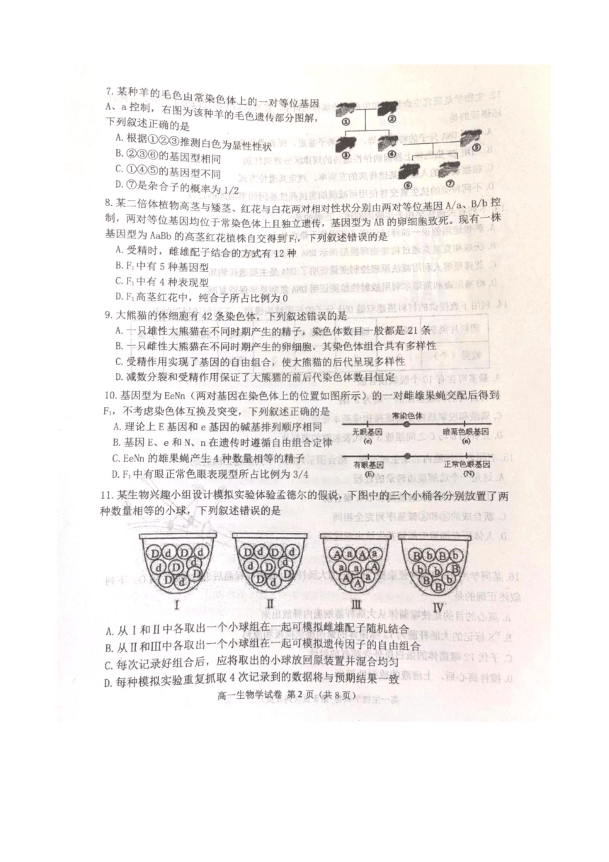 辽宁省大连市2022-2023学年高一下学期期末考试生物学试题（扫描版含答案）