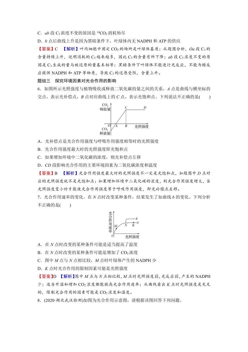 新人教（2019）生物必修1分层训练：第5章 细胞的能量供应和利用 4光合作用与能量转化（解析版）