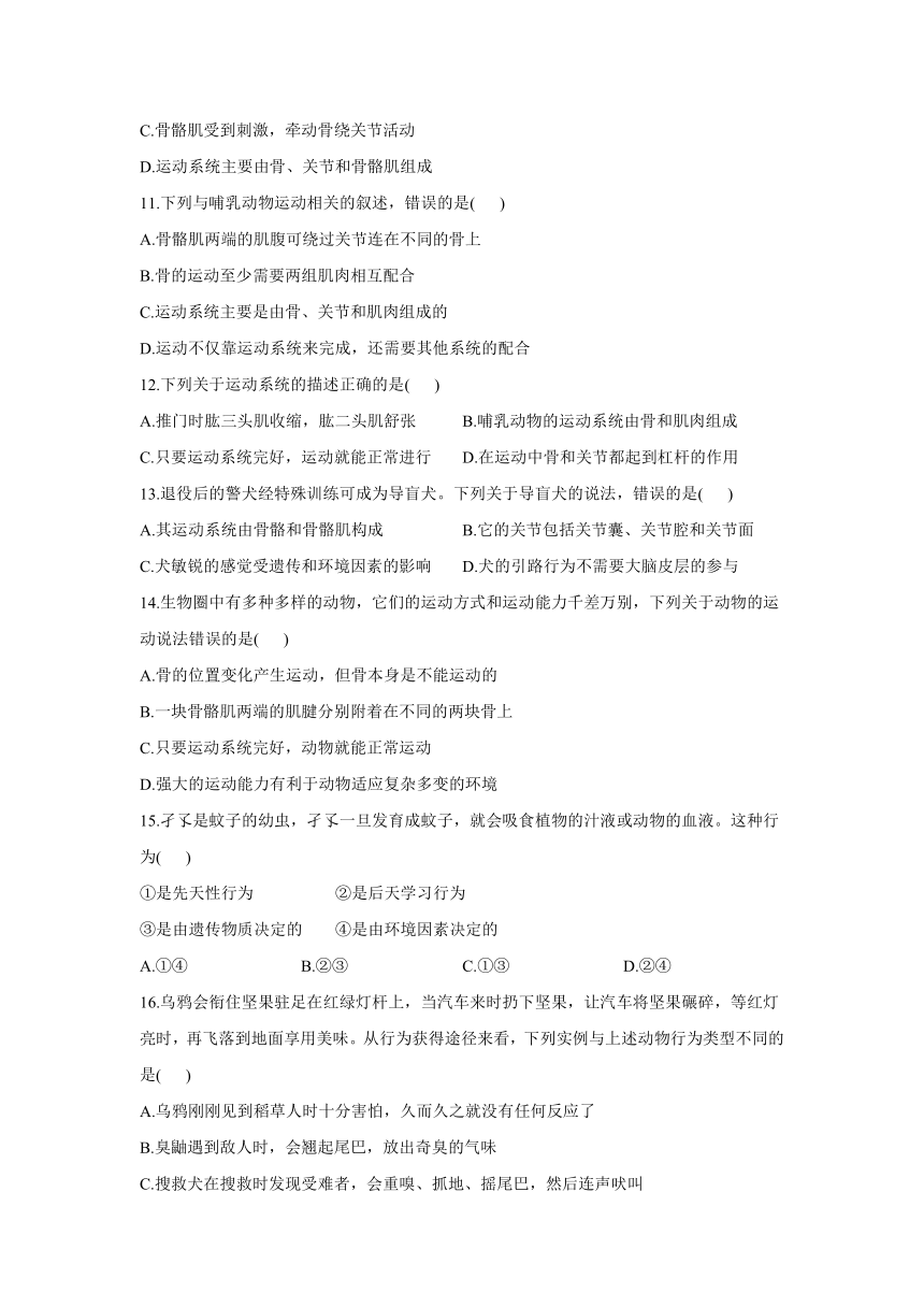 2021-2022学年人教版生物八年级上册 5.2动物的运动和行为 章末综合练习  （含解析）