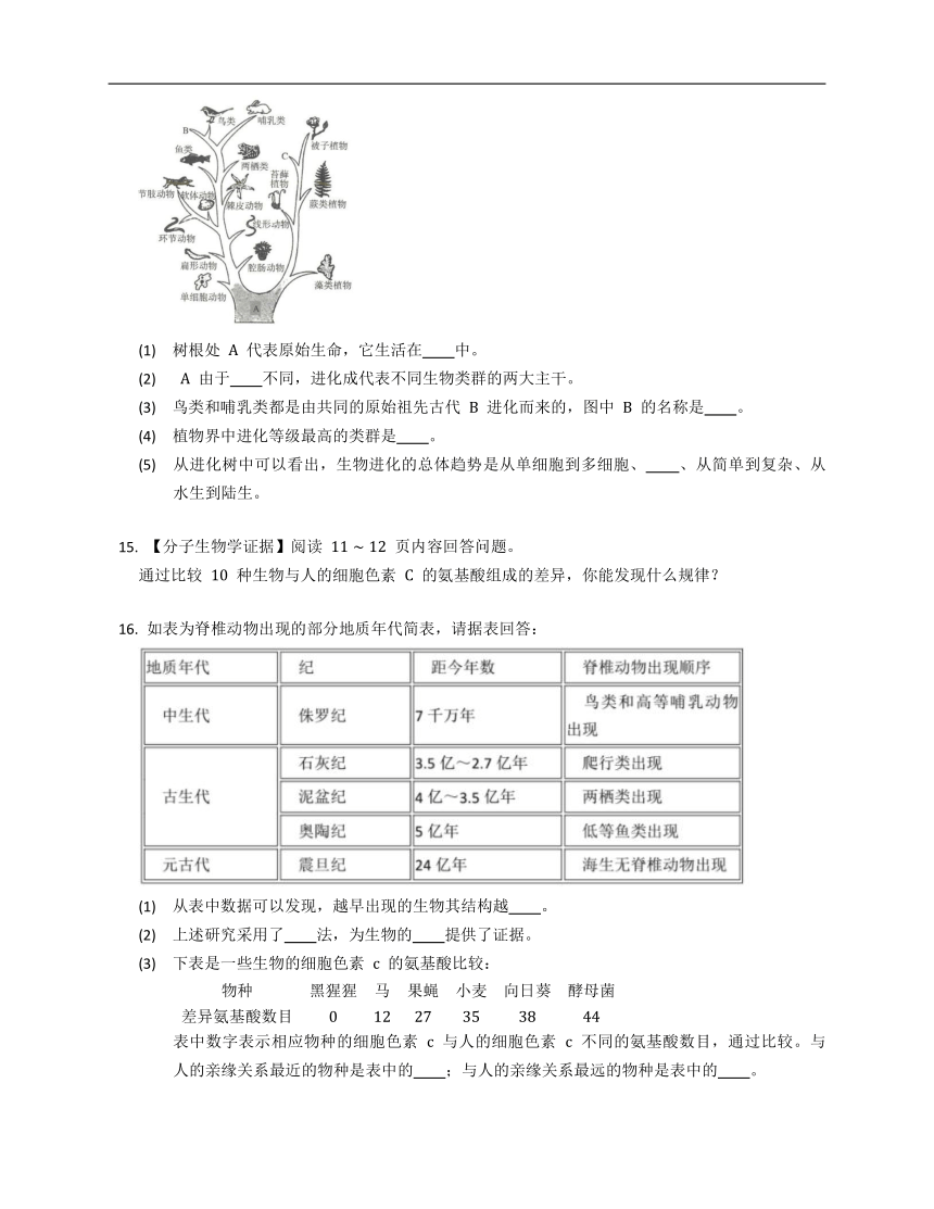 人教版八下7.3.2生物进化的历程（含答案）