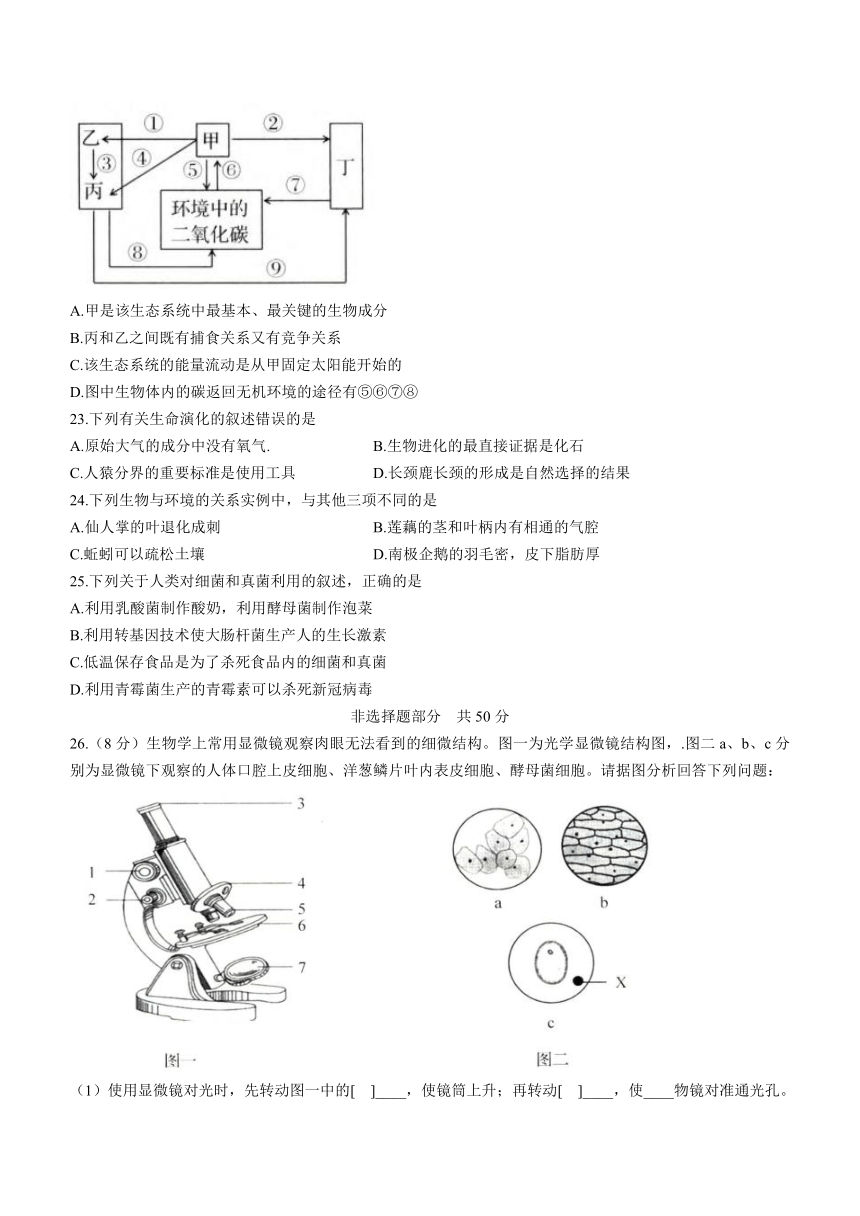 2022年山东省济南市八年级学业水平测试生物真题（Word版，含答案）