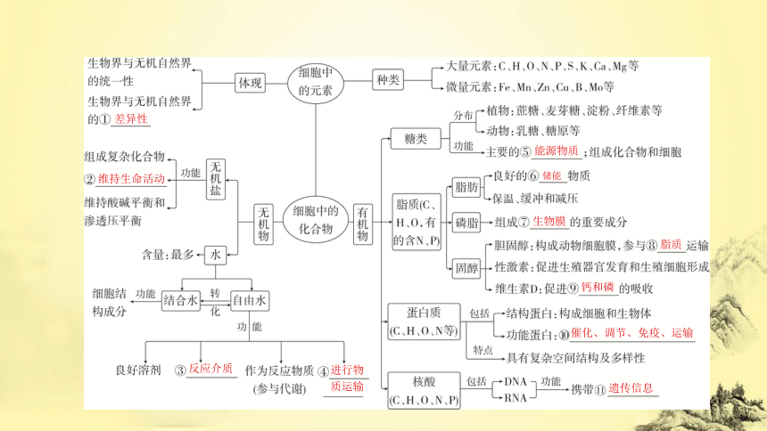 新人教生物二轮复习课件1 细胞的分子组成(共60张PPT)