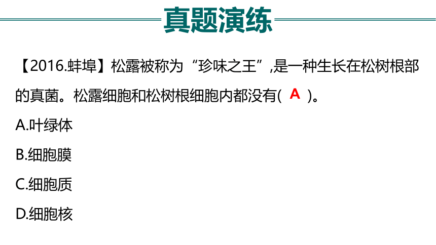 初中生物 会考复习 第二单元 生物体的结构层次（27张PPT）