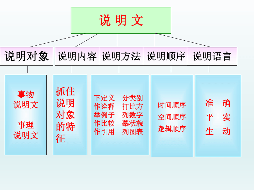 初中语文七年级下册期末复习说明文阅读-说明对象及其特征 课件（共38张PPT）