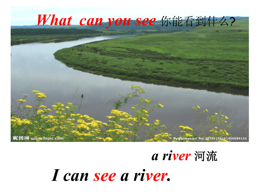 Unit 3 What can you see 课件（共47张）
