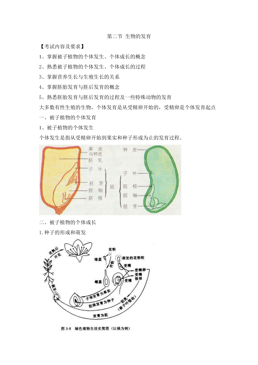 人教版生物（中职）4.2 生物的发育 教案