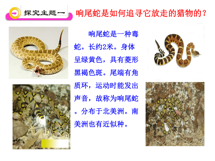 2.2《生物学研究的基本方法》 课件(共48张PPT)