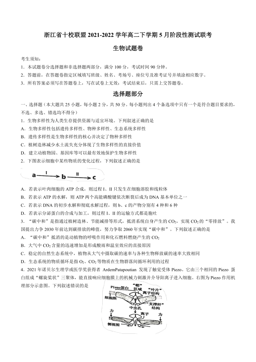 浙江省十校联盟2021-2022学年高二下学期5月阶段性测试联考生物学试题（Word版含答案）