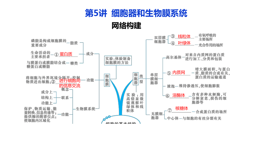 人教（2019）必修1《分子与细胞》知识网格构建