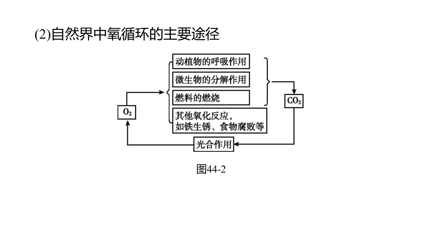 2022年浙江省中考科学一轮复习 第44课时　物质间的循环和转化（课件 38张PPT）