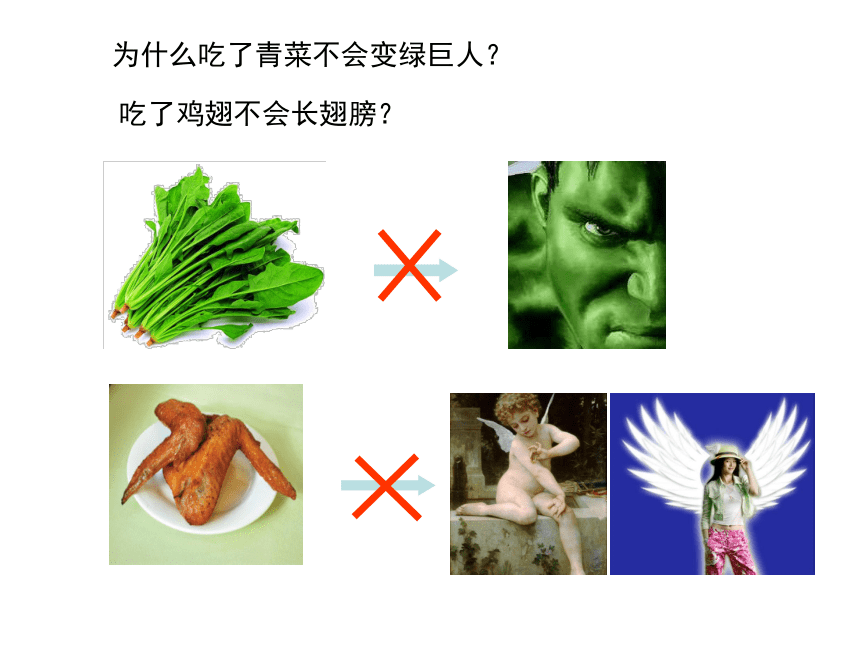 2021--2022学年冀少版七年级生物下册2.1.2食物的消化（一）食物在口腔中的消化课件(共20张PPT)