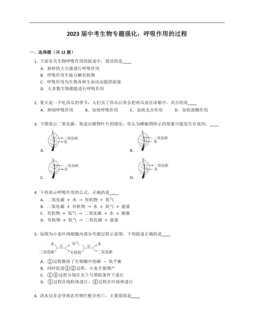 2023届中考生物专题强化练习：呼吸作用的过程（Word版 部分含解析）