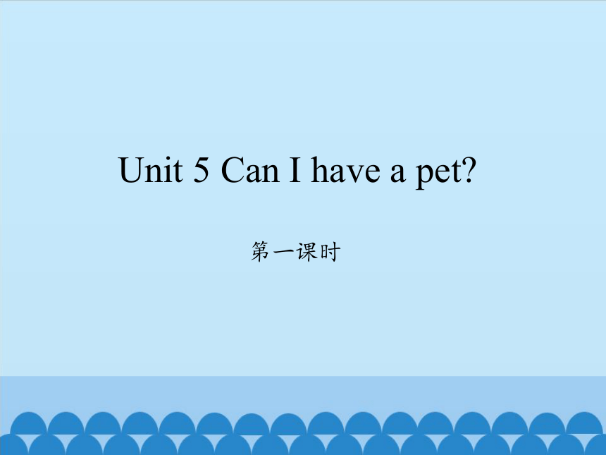 Unit 5 Can I have a pet   课件(共22张PPT)