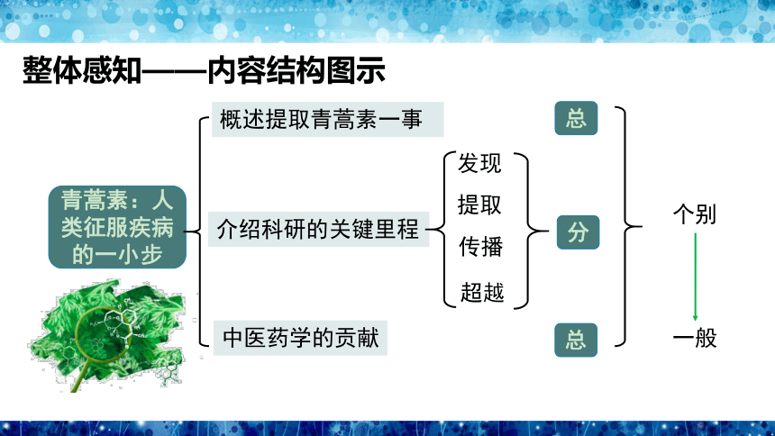 7.1《青蒿素：人类征服疾病的一小步》课件(共21张PPT)-高一语文（统编版必修下册）