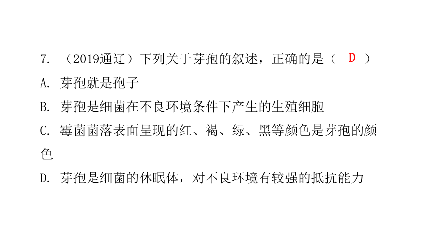 人教版生物八年级上册 第五单元 第四章 细菌和真菌章末总结课件（共39张PPT）