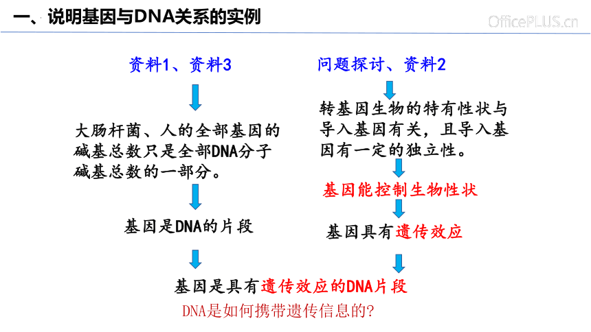 3.4基因通常是具有遗传效应的DNA片段(共31张PPT)课件
