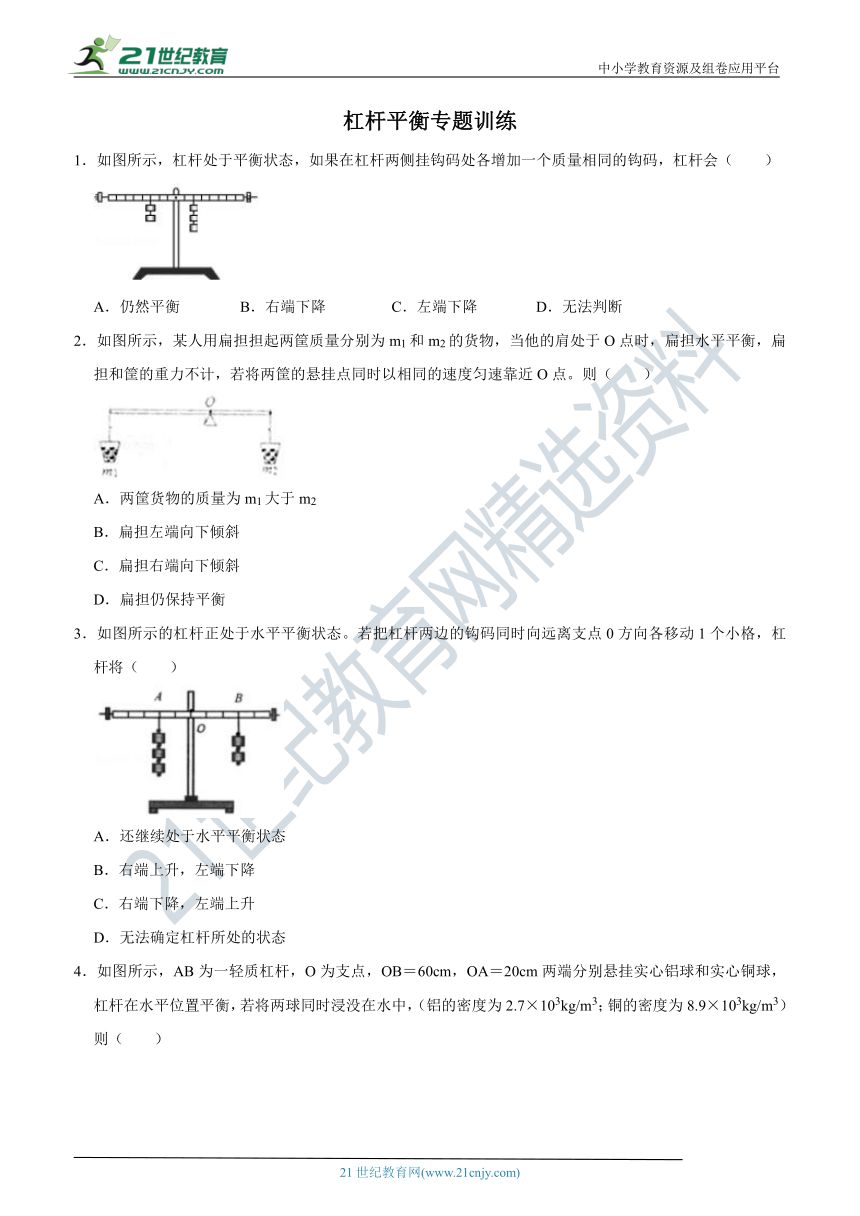 人教版初中物理九年级 12.1 杠杆平衡 专题训练 （含解析）