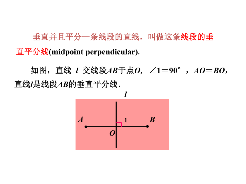 苏科版八年级数学上册 2.2 轴对称的性质_(2) 课件 (共21张PPT)