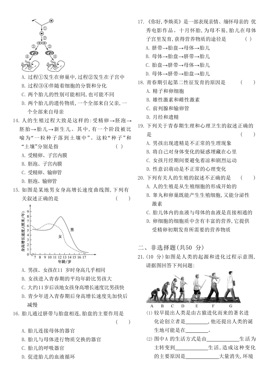 人教版7年级下生物第4单元第一章 人的由来 测试卷(B)（word版，含部分答案解析）