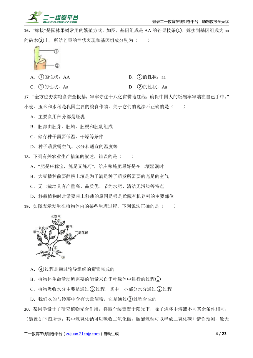 重难点04--生物圈中的绿色植物（二）（含解析）