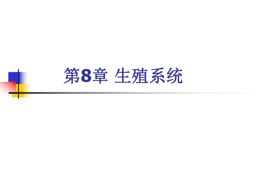 8 生殖系统-1  课件(共63张PPT) 《畜禽解剖生理学》同步教学（高教版）