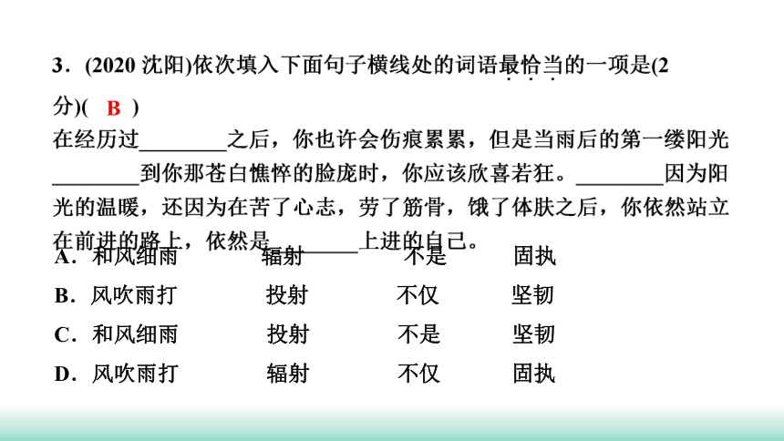 2021年辽宁中考语文二轮复习 知识提升专训：专题二　词语的运用(含成语) 课件（40张PPT）
