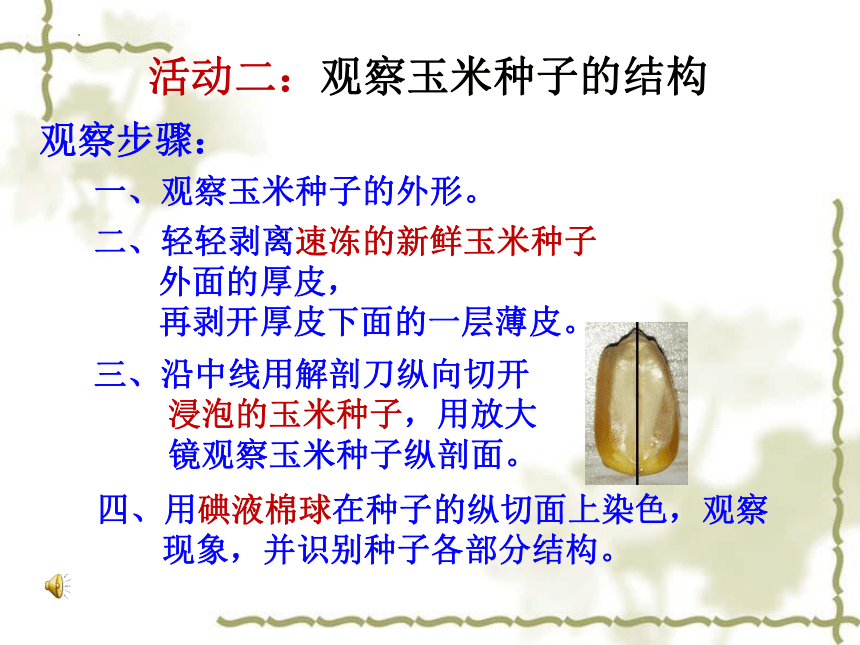 2022-2023学年北师大版生物学七年级上册 3.6.1.种子萌发形成幼苗  课件 (共46张PPT)