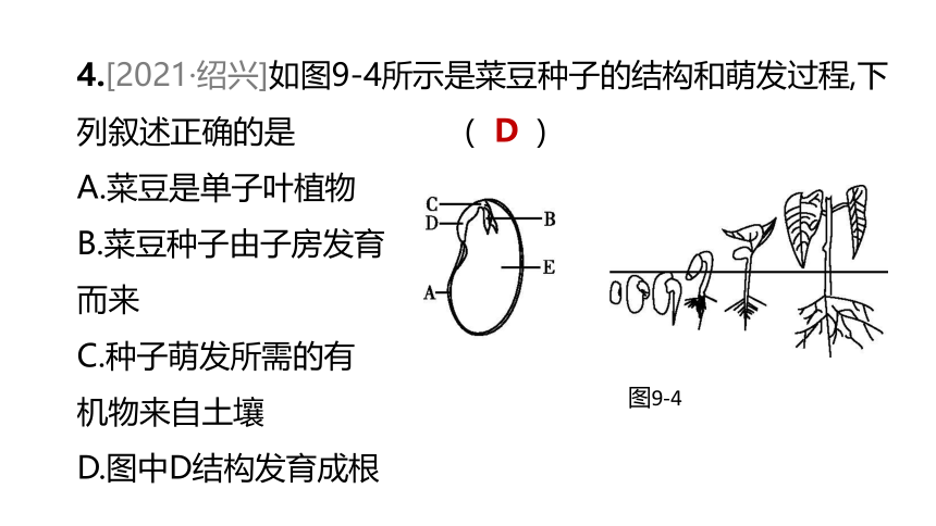 2022年浙江省中考科学一轮复习 第09课时　生物的生殖和发育（课件 37张PPT）