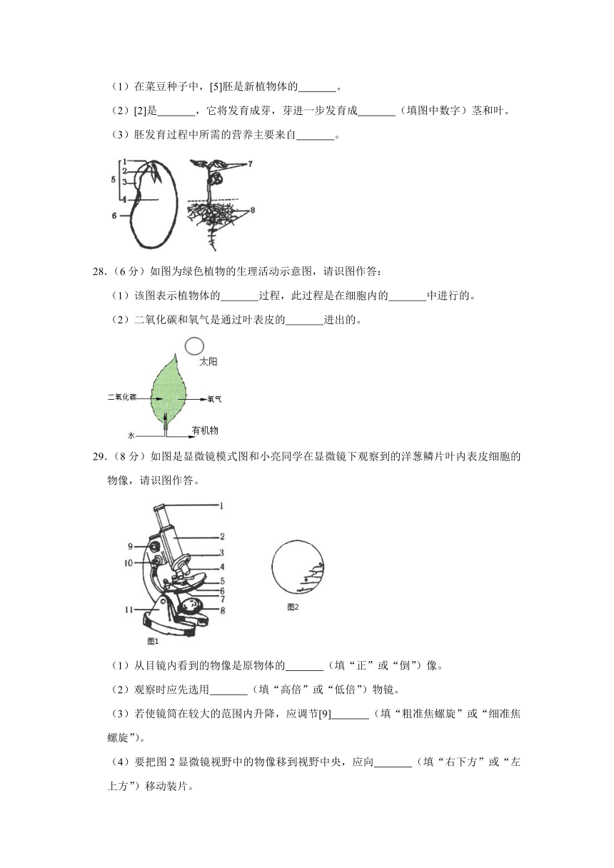 2020-2021学年天津市部分区七年级（上）期末生物试卷 (word版含解析）