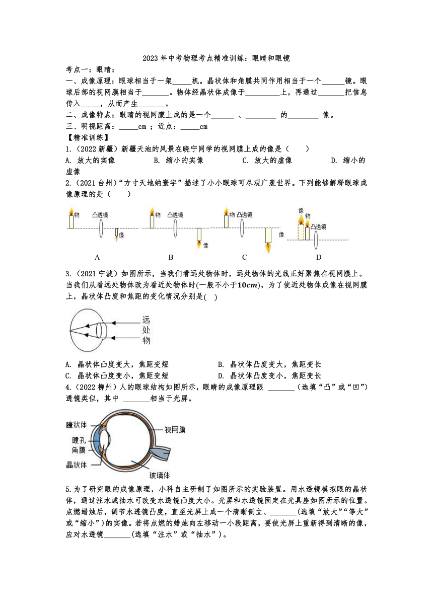 2023年中考物理考点精准训练：眼睛和眼镜（含答案）