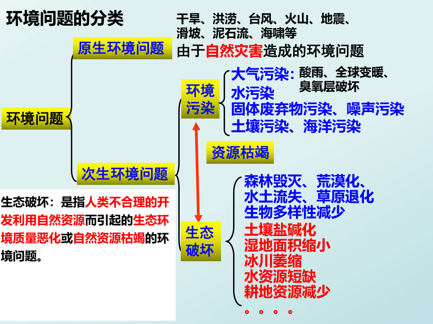 1.2 人类活动与环境问题 课件（24张PPT）