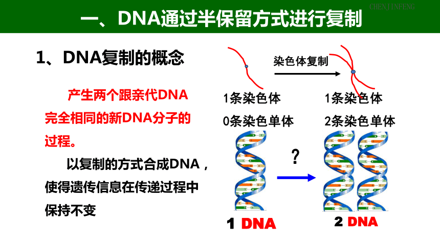 2022-2023学年高一下学期生物浙科版必修23.3DNA通过复制传递遗传信息课件（16张ppt）