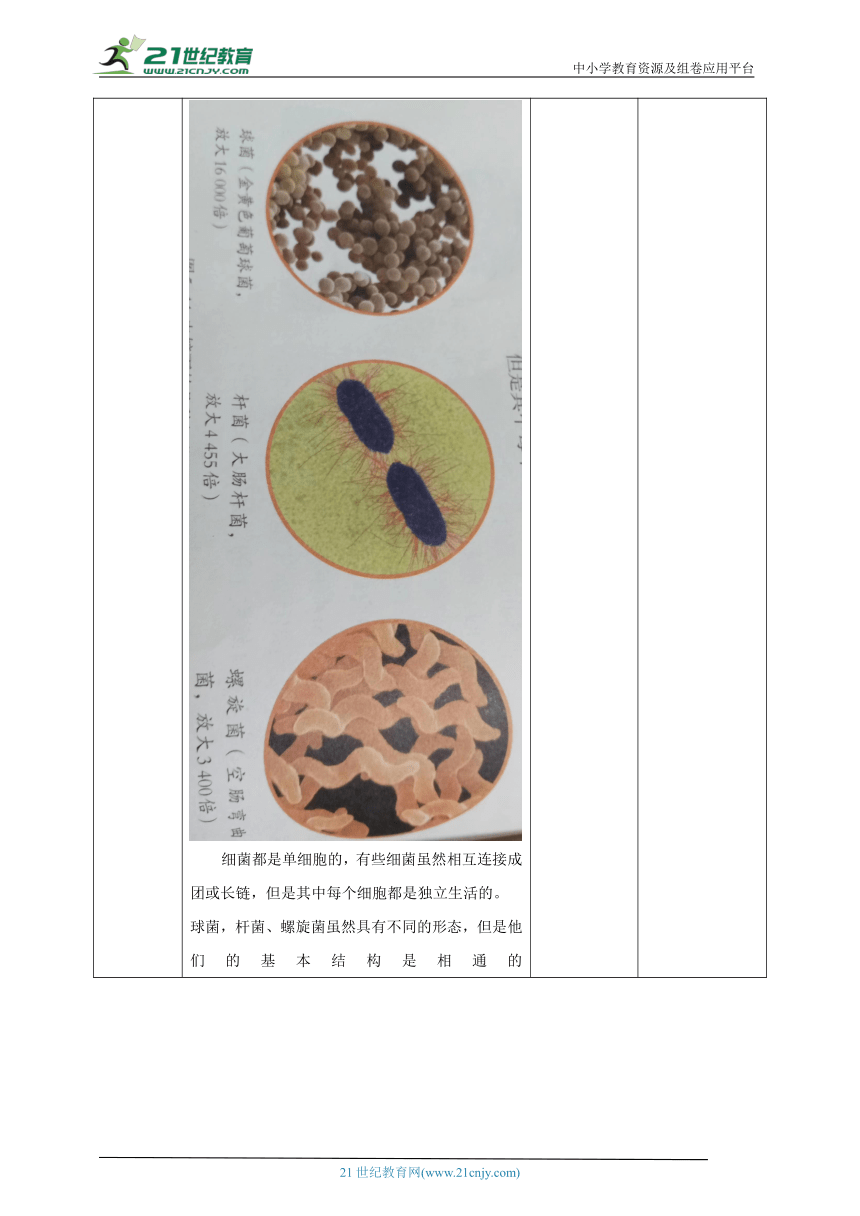 【核心素养目标】人教版生物八年级上册 5.4.2 细菌 教学设计