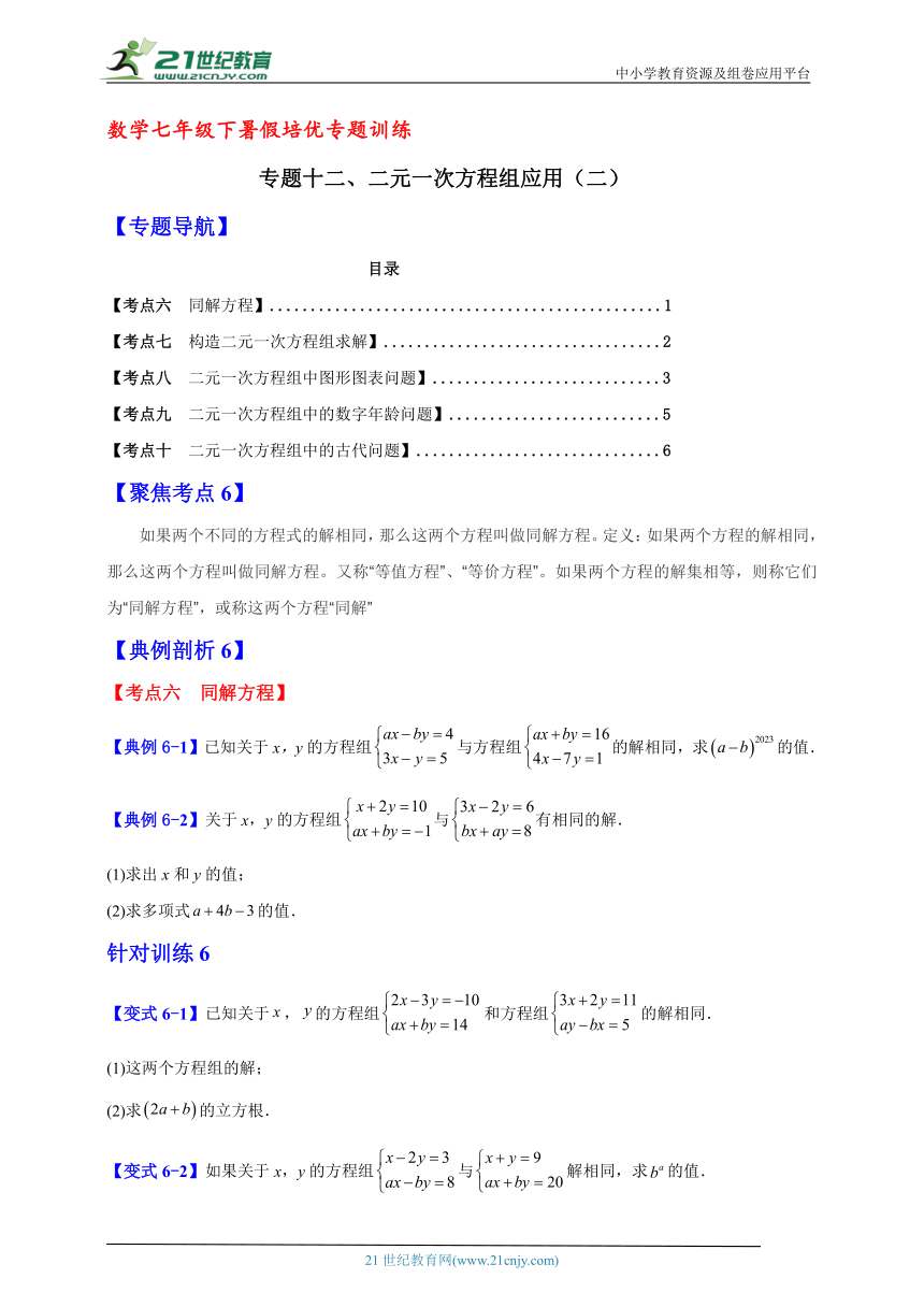 数学七年级下暑假培优专题训练十二（含解析）