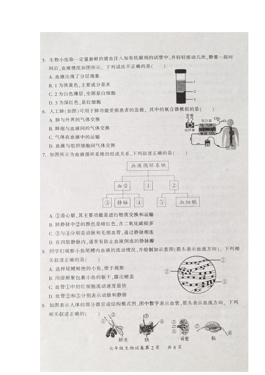 山西省大同市2022-2023学年七年级下学期期末质量监测生物试题（图片版无答案）