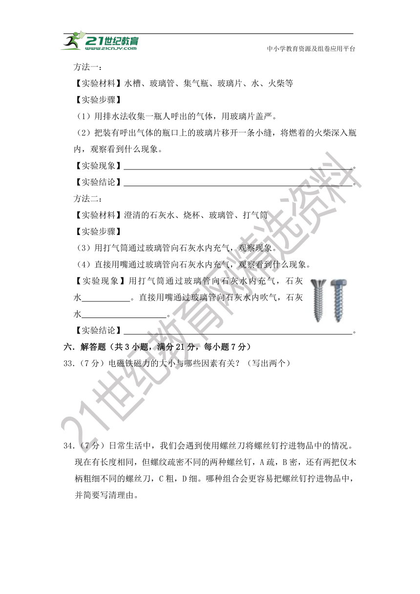 基础卷：2023年小升初（青岛版）科学模拟卷二（含答案解析）