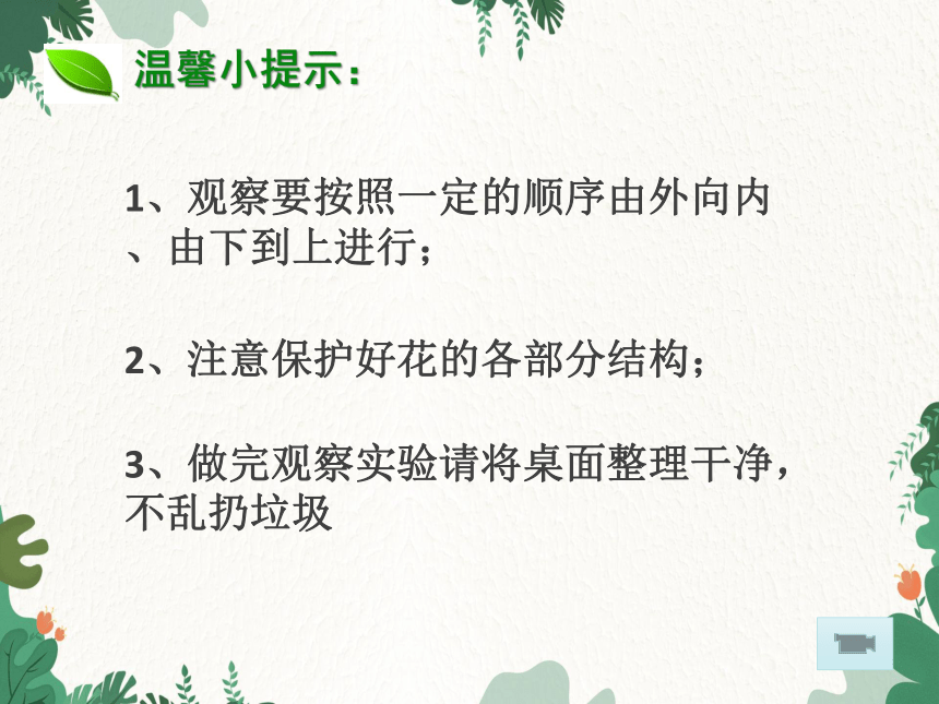 人教版生物七年级上册  3. 2  被子植物的一生 复习课件  (共74张PPT)