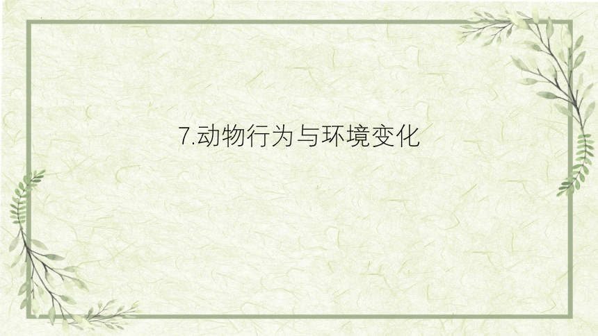 青岛版（六三制2017秋）科学六年级下册2.7  动物行为与环境变化  课件 (共15张PPT)