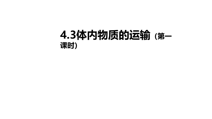 4.3 体内物质的运输 第1课时(课件 18张PPT)