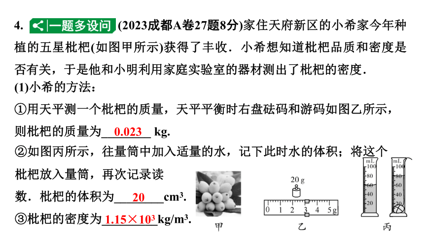 2024成都中考物理二轮专题复习 第8讲 测量物质的密度（课件）(共46张PPT)