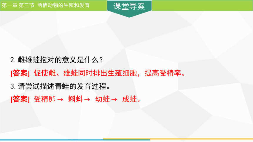 7.1.3 两栖动物的生殖和发育  课件(共21张PPT) 人教版生物八年级下册