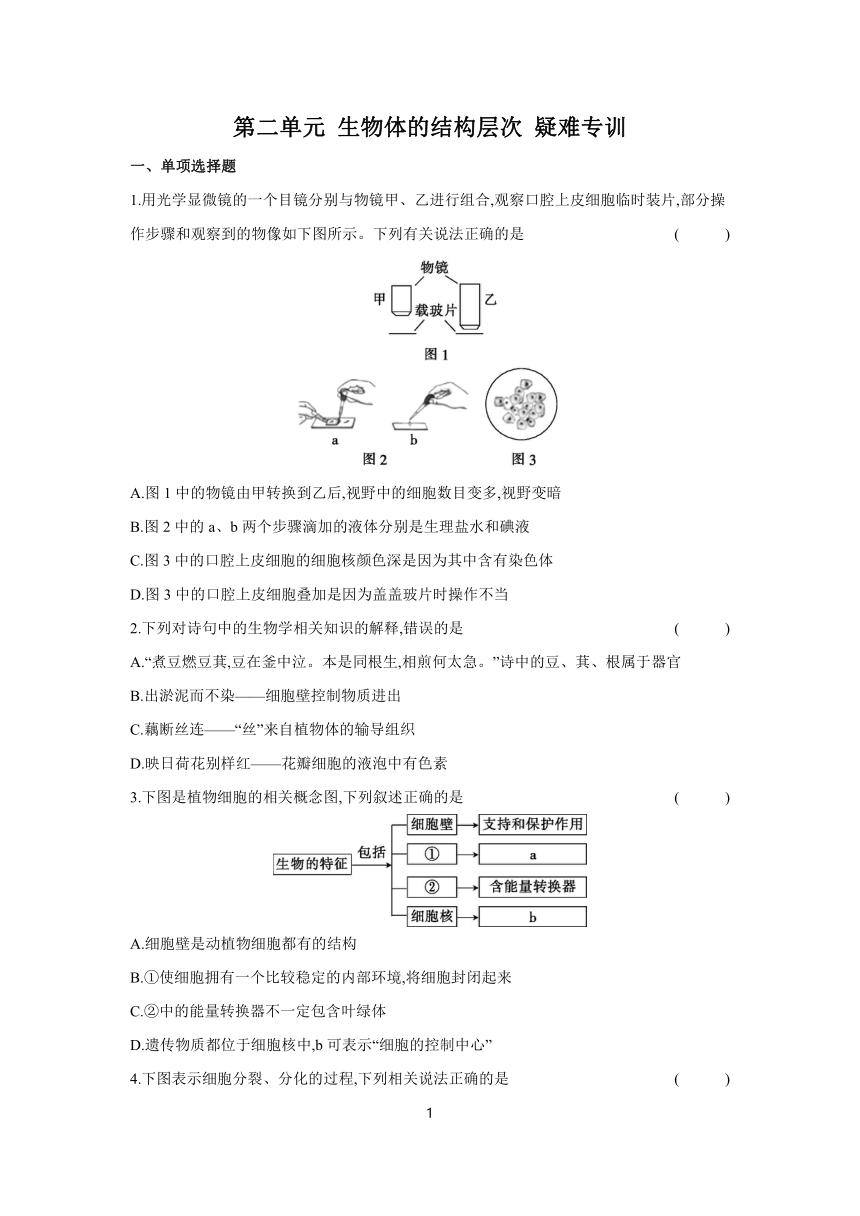 第二单元 生物体的结构层次 课时提高练（含答案）2023-2024学年生物人教版七年级上册