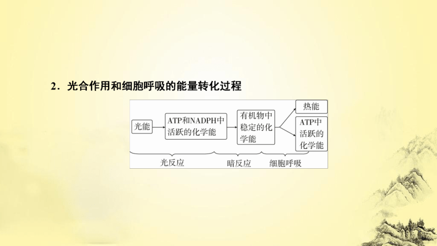 新人教生物二轮复习课件4 光合作用和细胞呼吸(课件共81张PPT)