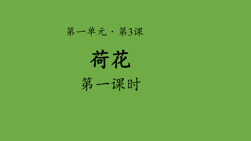 3.《荷花》第一课时示范课件（共30张PPT）